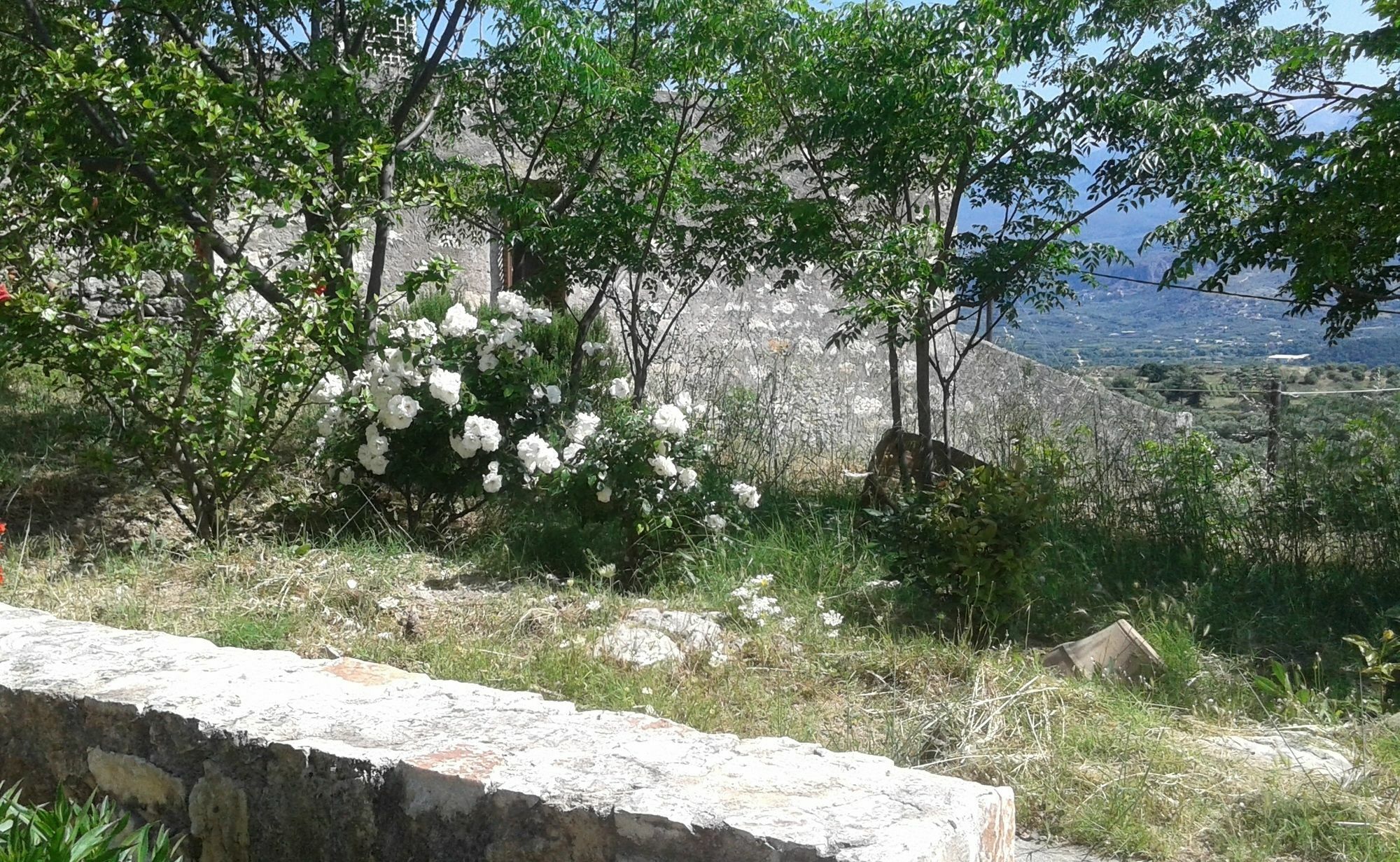 Petra & Elia Villa Megala Chorafia ภายนอก รูปภาพ