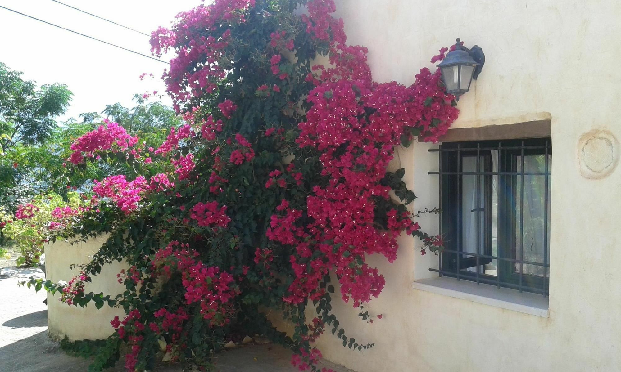 Petra & Elia Villa Megala Chorafia ภายนอก รูปภาพ