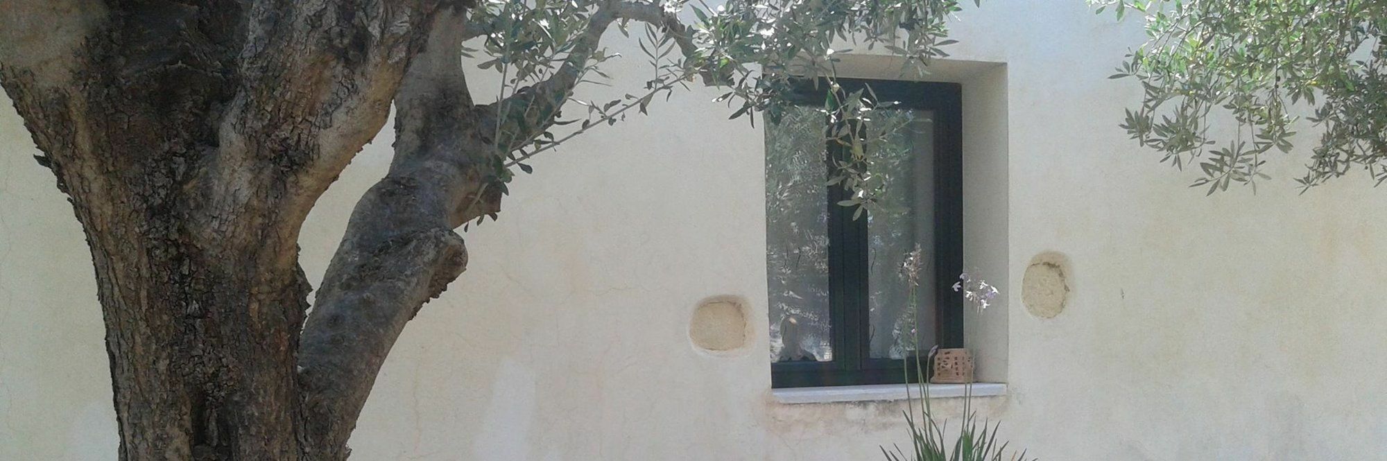 Petra & Elia Villa Megala Chorafia ภายนอก รูปภาพ