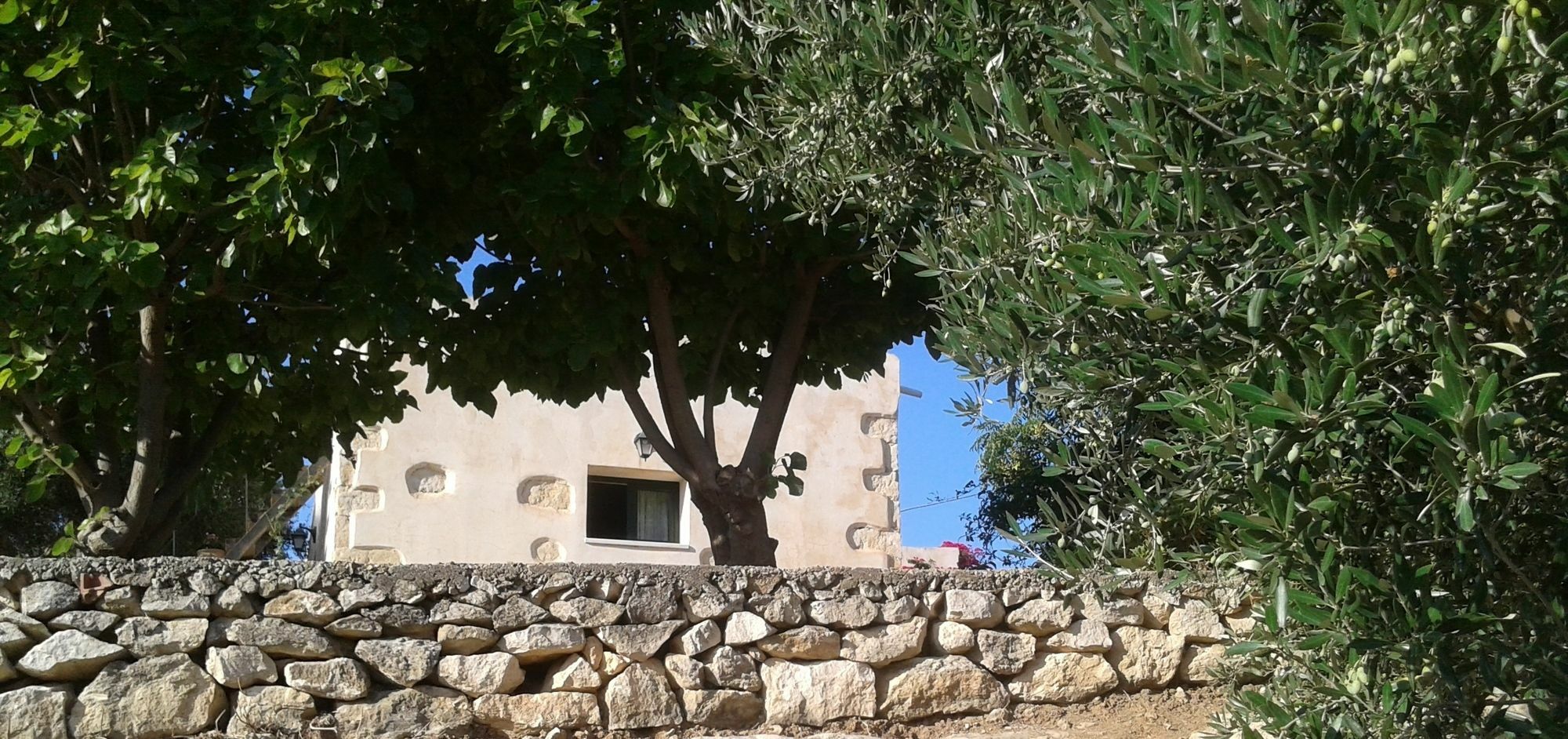 Petra & Elia Villa Megala Chorafia ภายนอก รูปภาพ